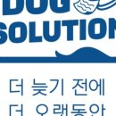 도그몰 이미지