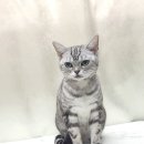 청라원 이미지