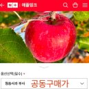 애플띵크 이미지