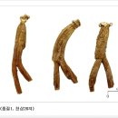 홍삼세상 - 창원시 성산구 용지로 225 | 홍삼세상
