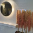 색깔노래연습장 이미지