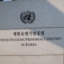 안동(부산) 이미지