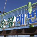 송정 이미지