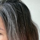 남10-3 | 모다모다 블랙샴푸10 - 3회 사용후기