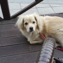 더카페신내역점