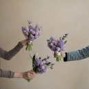 사진 기초에서 작품까지 이미지