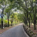 지리산허브밸리 | 남원가볼만한곳 지리산허브밸리 스탬프이벤트 참여 후기 및 꿀팁 총정리