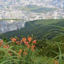 산 아래 이미지