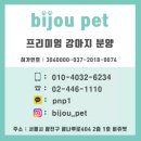 비쥬펫 이미지