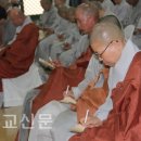 진명축산 Daum카페