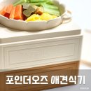 애견식기 추천 포인더오즈 나혼자산다 강아지밥그릇 내돈내산후기