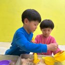 곤충들이 숨어 있을까? 관찰놀이 재료탐구 촉감놀이 사회성키우기 집중력키우기 성동구5세미술 플레아띠