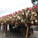 조나단 민박 이미지