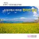 자연-꽃 이미지