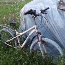 용대농장 이미지