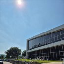 카페 데이지 | 필무드 파주 카페 데이지 6월 야외정원 후기 애견동반 주차장