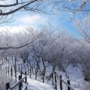 박재호 행정사 사무소 이미지