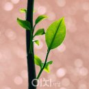 현재의 선물