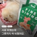 파인솔루션 | 페니또 미식사료 우리 강아지가 잘 먹는 파인다이닝 올인원사료 후기
