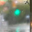 이의용밝은길병원 | 안경잡이 잘 가고 밝은세상 어서오고~(라섹 수술 후기)