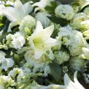 송산장례문화원 이미지