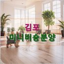 강아지분양 입양 골든티스비숑전문켄넬 미니비숑 비숑프리제 | 김포 미니비숑분양 실패 없는 선택을 위한 확실한 비교 분석