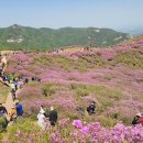 노래하는 이미지