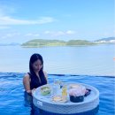 슈가브리움 이미지