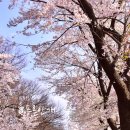 창만3리 이미지