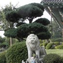 경운사(상) 이미지