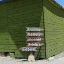 오늘도푸른 이미지