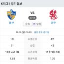 2023년 9월3일(일) 울산현대 VS 광주FC 울산 문수 경기장 경기일정 이미지