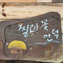 섬진강 찔레꽃 언덕 이미지