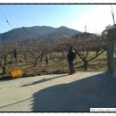 남일농장 이미지