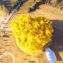 금관2리 이미지