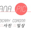 천안발라네일