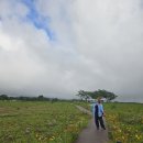 반딧불이마을영농조합법인 이미지