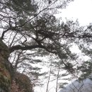 소양강둘레길 1코스 이미지