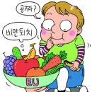 유로야채과일