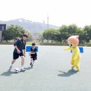 백석생활체육공원 축구장 에스티엔
