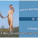 Love Is A Many Splendored Thing( Orchestra) 이미지