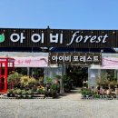 아이비화원 이미지