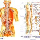 숙면이 암을 치유하는 능력이.... 이미지