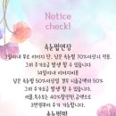 고양이속눈썹 이미지