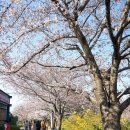 낙동제방길-1 이미지