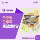 오호항 이미지