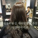 새라헤어 이미지
