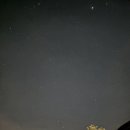 행복애견 이미지