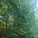 마리펜션 이미지