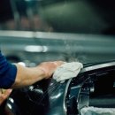 태평양카독크 이미지